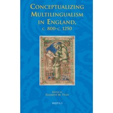 SEM 27 Conceptualizing Multilingualism in England Tyler Hardcover, Brepols Publishers