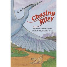 Comprehension Power Readers Chasing Riley Grade 3 Single 2004c Paperback, Modern Curriculum Press
