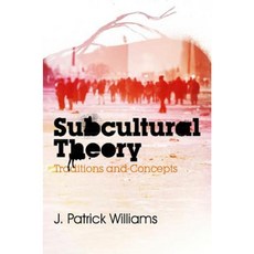 Subcultural Theory: Traditions and Concepts Paperback, Polity Press