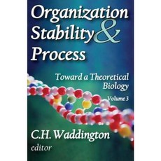 Organization Stability & Process Paperback, Transaction Publishers
