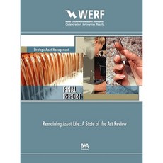Remaining Asset Life: A State of the Art Review Paperback, IWA Publishing (Intl Water Assoc)