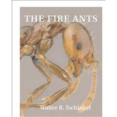 The Fire Ants Paperback, Belknap Press