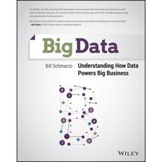 Big Data: Understanding How Data Powers Big Business 平裝版, Wiley