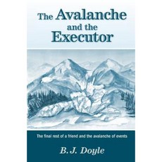 The Avalanche and the Executor - The Final Rest of a Friend and the Avalanche of Events Paperback, FriesenPress