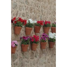 A Summer Flower Garden on a Rustic Stone Wall Journal: 150 Page Lined Notebook/Diary Paperback, Createspace Independent Publishing Platform