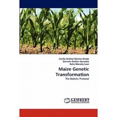 Maize Genetic Transformation Paperback, LAP Lambert Academic Publishing