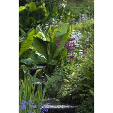 Hillside Gardening Notebook Paperback, Createspace Independent Publishing Platform