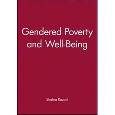 Gendered Poverty and Well-Being Paperback, Wiley-Blackwell