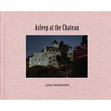 睡在城堡精裝本, 達米亞尼