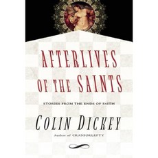 Afterlives of the Saints: Stories from the Ends of Faith Hardcover, Unbridled Books