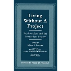 Living Without a Project: Psychoanalysis and the Postmodern Society Paperback, Upa