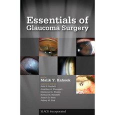 Essentials of Glaucoma Surgery Paperback, Slack
