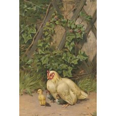 Journal: White Hen with Three Chicks Paperback, Createspace Independent Publishing Platform