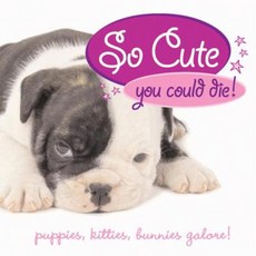 So Cute You Could Die!: Puppies Kitties Bunnies Galore! Hardcover, Quirk Books