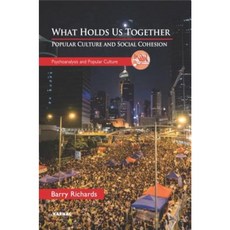 What Holds Us Together: Culture and Social Cohesion Paperback, Karnac Books