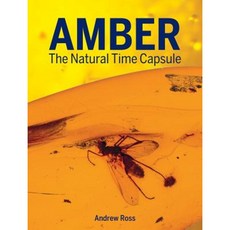 Amber: The Natural Time Capsule Paperback, Firefly Books