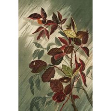 Journal: Autumn Leaves in the Rain Paperback, Createspace Independent Publishing Platform