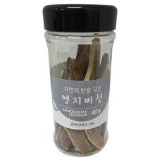 청계영농조합 영지버섯, 40g, 1개