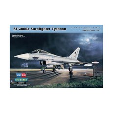 HobbyBoss 1:72 Euro Fighter Typhoon2000 프라모델, 1개