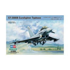 HobbyBoss 1:72 Euro Fighter Typhoon2000B 쌍좌 프라모델, 1개