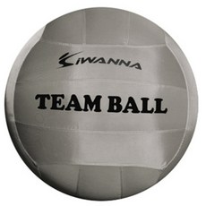 iWANNA 健球, 灰色的