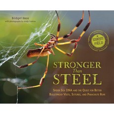 Stronger Than Steel Paperback 2017년 06월 27일 출판, Houghton Mifflin