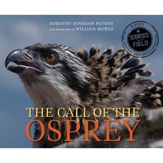 Call of the Osprey Hardcover 2015년 06월 02일 출판, Houghton Mifflin