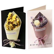 Provence Korea迷你乾燥花卡片 A組, 混色, 1套