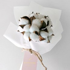 블루밍앤미 목화꽃 6p 모던 드라이 플라워 꽃다발, 화이트