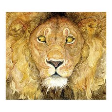 The Lion and the Mouse 페이퍼북, Walker Books