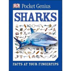 Sharks: Facts at Your Fingertips 페이퍼북, Dk Pub
