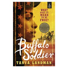 Buffalo Soldier 페이퍼북, WalkerBooks