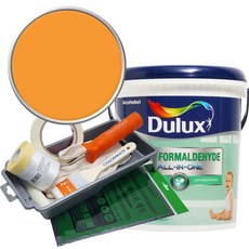 듀럭스 안티 포름알데히드 올인원 페인트 3L 세트, Nemo Stripe