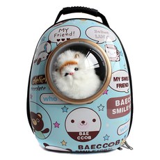 NEWNS 寵物宇宙飛船膠囊背包, 薄荷