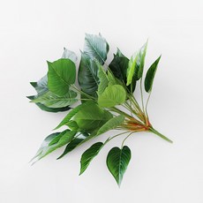 BLOOMING&ME Green Kara Harmony Bush, 綠色