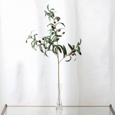 RYMD 長莖橄欖混合, 混色