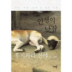 인생의 낮잠:사진 여행 삶의 또 다른 시선, 다반