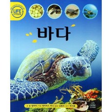 Junieoraendeom 海洋