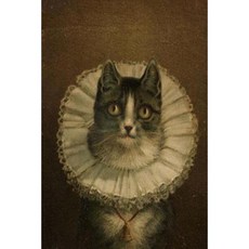 The Widow: Journal Paperback, Createspace Independent Publishing Platform
