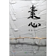 소심, 아인스북