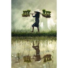 A Man Working at Harvest Time in Myanmar Burma Journal: 150 Page Lined Notebook/Diary Paperback, Createspace Independent Publishing Platform