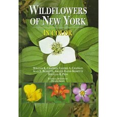Wildflowers of New York in Color Hardcover, Syracuse University Press