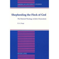 Shepherding the Flock of God: The Pastoral Theology of John Chrysostom Hardcover, Peter Lang Gmbh, Internationaler Verlag Der W