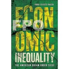 Economic Inequality: The American Dream Under Siege Library Binding, Twenty-First Century Books (CT)