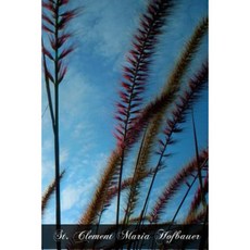St. Clement Maria Hofbauer: A Biography Paperback, Createspace Independent Publishing Platform