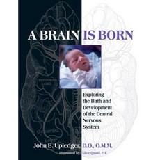 A Brain Is Born: Exploring the Birth and Development of the Central Nervous System Paperback, North Atlantic Books
