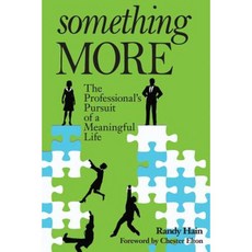 Something More: The Professional's Pursuit of a Meaningful Life Paperback, Liguori Publications