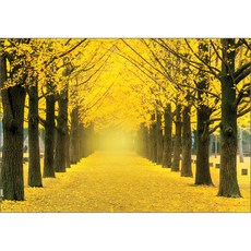 Puzzle Korea 黃色銀杏樹林蔭大道拼圖 3160, 1000 件, 混合顏色, 1個