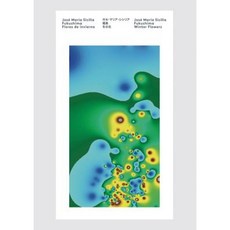 Jose Maria Sicilia: Fukushima Winter Flowers Paperback, Turner