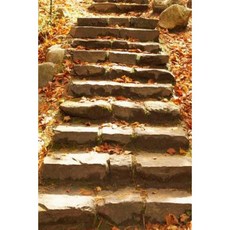 12 Step Journal Twelve Steps Program Stone Stairs: (Notebook Diary Blank Book) Paperback, Createspace Independent Publishing Platform